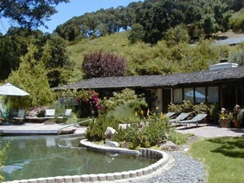 Private front yard with unique pool