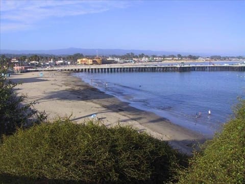 Beach nearby, sun loungers