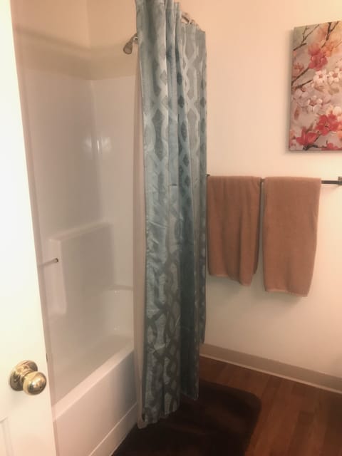 Combined shower/tub, hair dryer, towels, soap