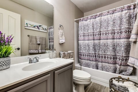 Combined shower/tub, hair dryer, towels, toilet paper