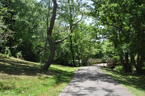 Just behind property-access to a path to downtown (or to UNCA the other way)