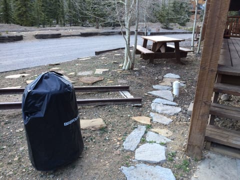 Exclusive use of our charcoal smoker/grill, gas grill and picnic table