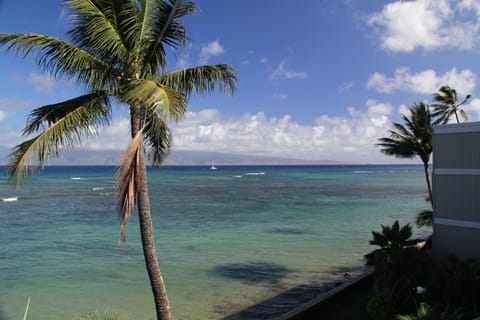 Beach/ocean view