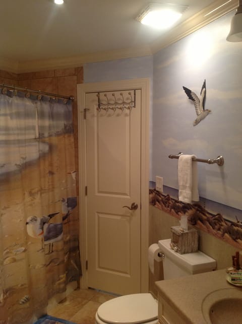 Combined shower/tub, hair dryer, towels, soap