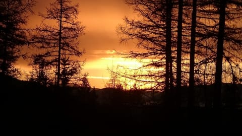 Amazing Sunrise out the back porch