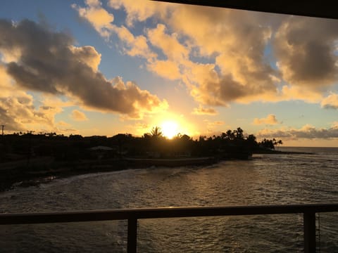 We love watching nature's display as parakeets take flight each morning.