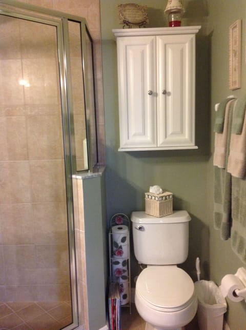 Combined shower/tub, hair dryer, towels