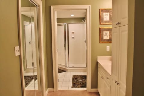 Combined shower/tub, jetted tub, hair dryer, towels