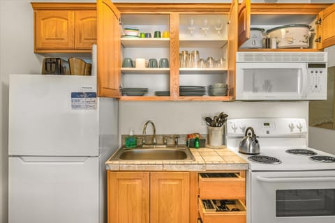 The kitchen is fully stocked with essentials