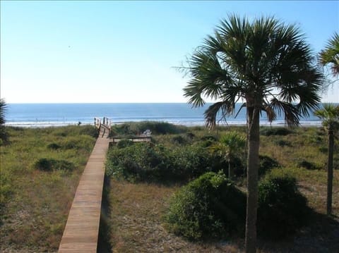 A lofty view of our private boardwalk and deck. Gorgeous location!!