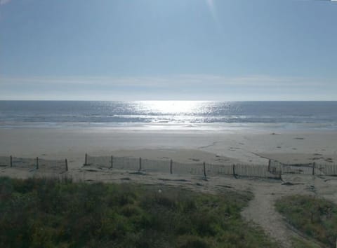 On the beach