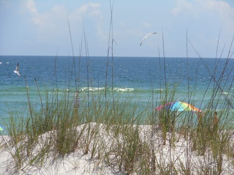 On the beach