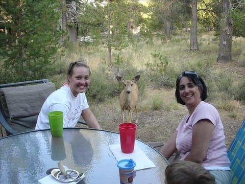 A few of our regular guests! Outdoor table for 4 and we have additional chairs.