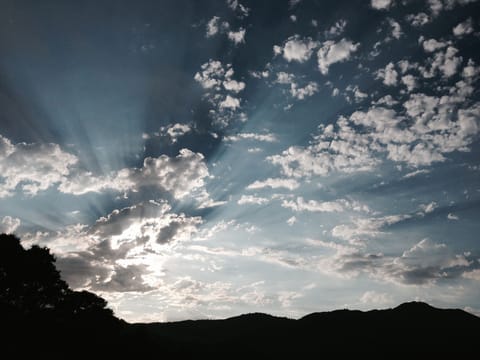 Mt. Tam view from the house
