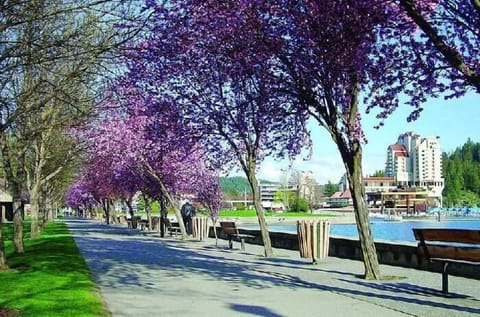 Resort and beach area just 1 1 1/2 blocks down the street.