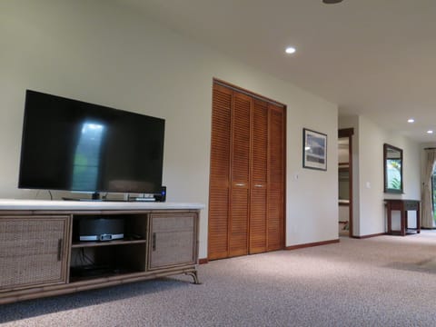 50 inch Ultra HD smart tv with high speed internet and netflix