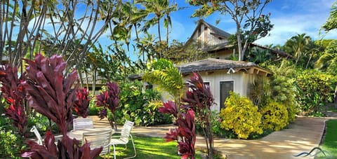 Tropical park, with a stream running through our grounds