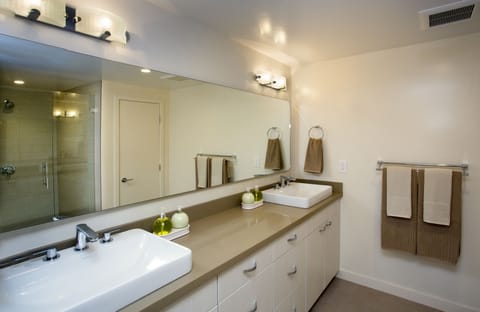 The all new and modern Master Bathroom with large wall-in shower ...