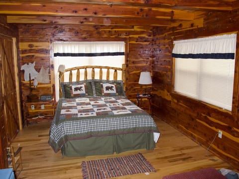 The main floor bedroom features a queen bed, full closet, and large windows.