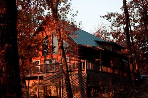 Cathedral-like windows bring the outdoors in! Enjoy the view from your chair.