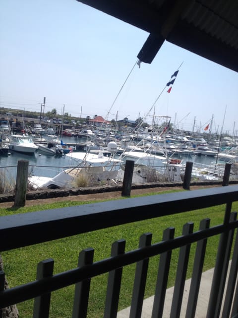 Honokohau Harbor, frosty schooners and freshest catch sandwich