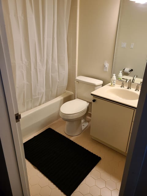 Combined shower/tub, hair dryer, bidet, towels