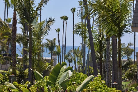 G building facing the center garden with a nice view. A peaceful location.