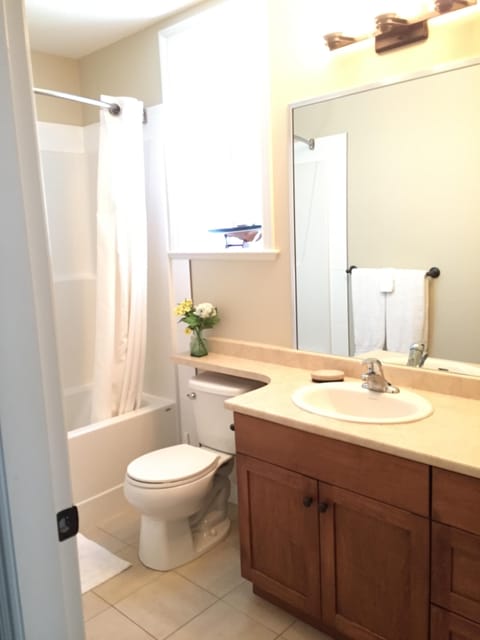 Separate tub and shower, hair dryer, towels, soap