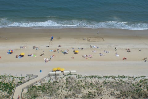 Beach | On the beach, beach umbrellas