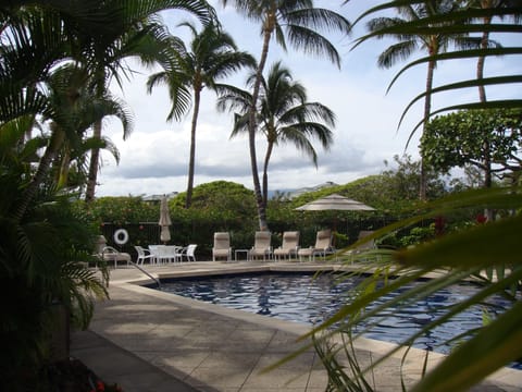 Beautiful salt water pool with to Jacuzzi tubs and outside shower.