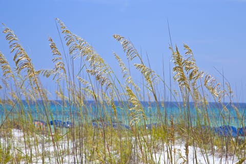 On the beach