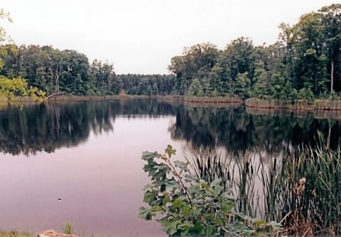7 acre pond stocked with Bass, Catfish, Crappie and Bream only a short walk away