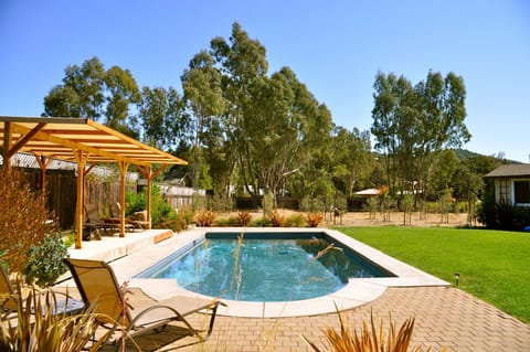 Pool area with olive orchard and bocce court in rear of property