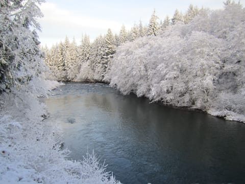 The Sol Duc on a snowy day