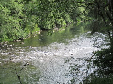 River from the property