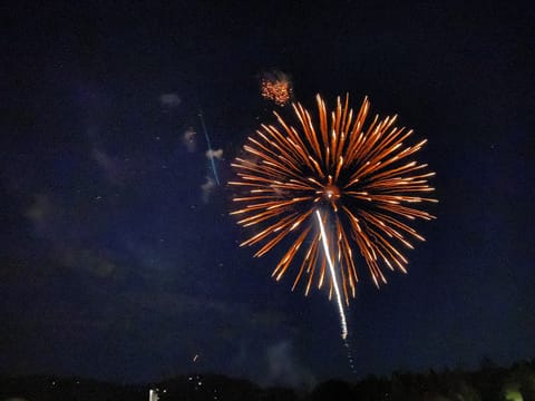 Fireworks Over Lake Gregory