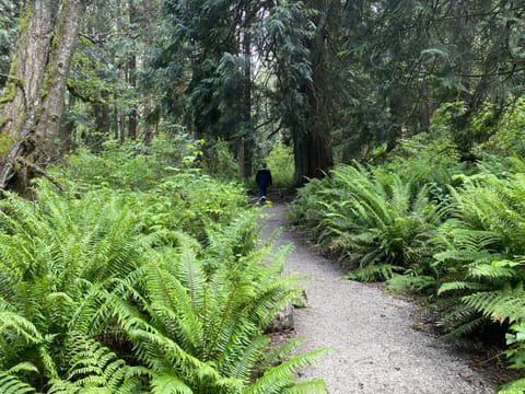 One of the lovely hiking trails - Mouat Park