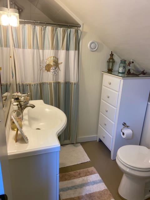 Combined shower/tub, hair dryer, towels