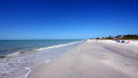 On the beach, sun loungers, beach towels