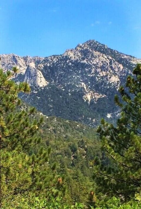 The Best View in Idyllwild - all from your private deck. Picture perfect.