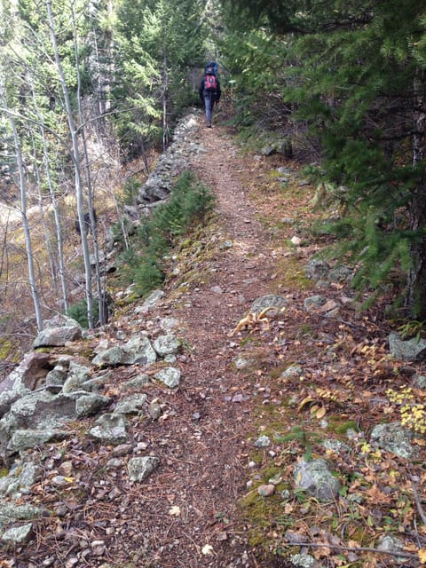 Miles of trails behind the cabin.