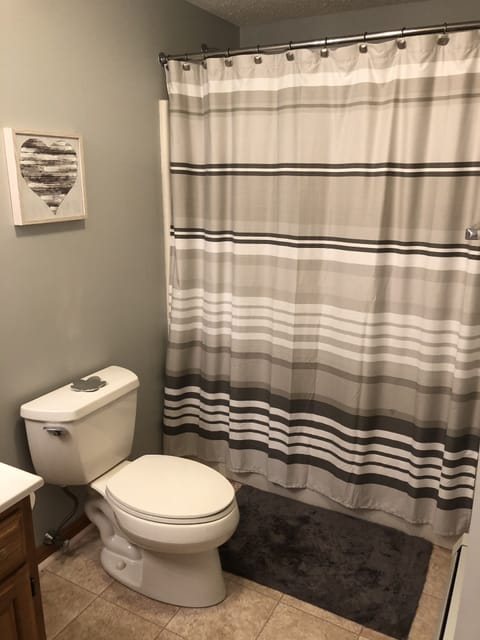 Combined shower/tub, hair dryer, towels, soap