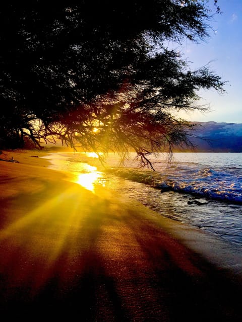 On the beach, sun loungers, beach towels