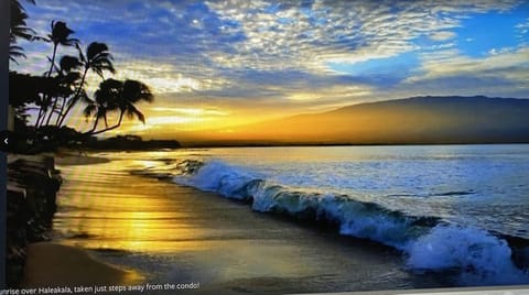 On the beach, sun loungers, beach towels