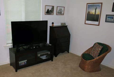 Smart TV, fireplace, DVD player, books