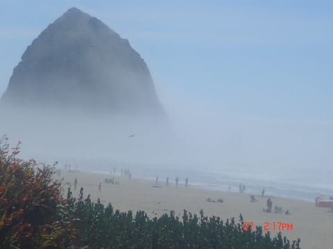 Beach nearby, sun loungers, beach towels