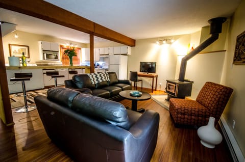 cozy living space with woodstove