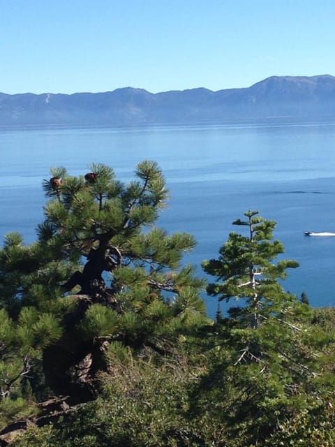 View at top of eagle rock.