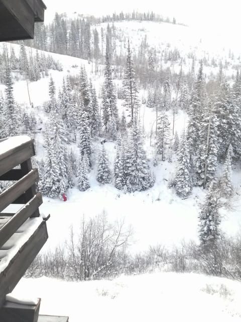 View of Right O Way ski run just below the house