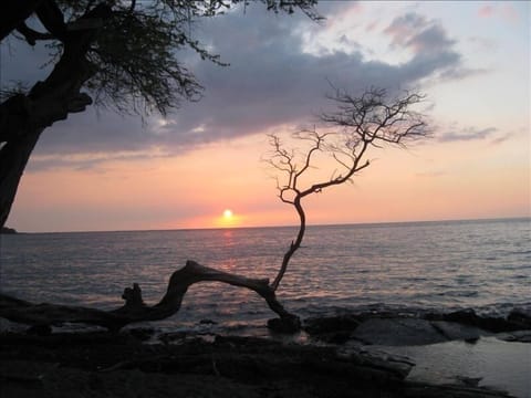 Incredible sunset view & snorkle at Waialea Beach mile 69 just 15 min drive away